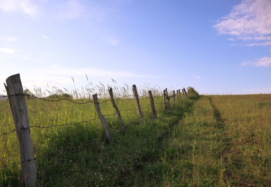 Five strand barbed wire cattle fence on treated wood corners in Boone County