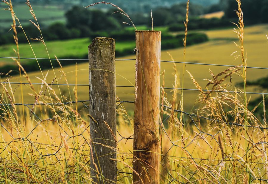 High tensile smooth wire fence with in-line strainers and tension springs